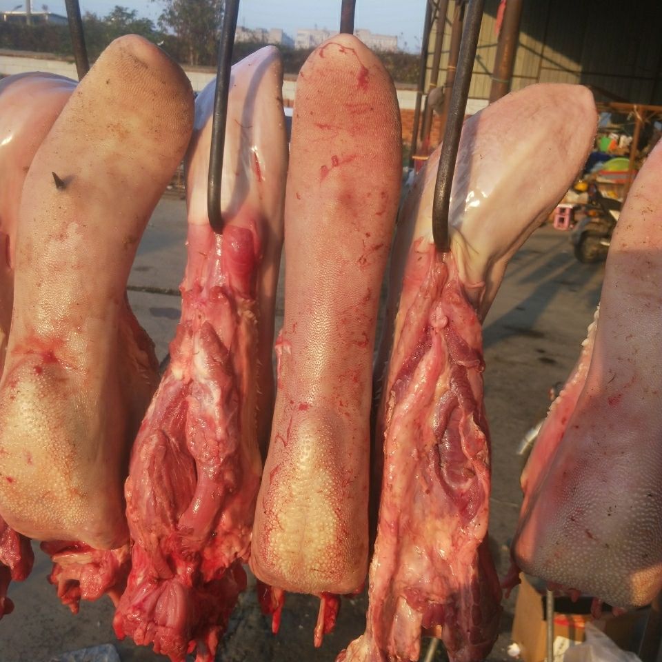 整条牛舌25斤到4斤之间新鲜黄牛牛舌头黄牛新鲜牛口条25斤到3斤之间