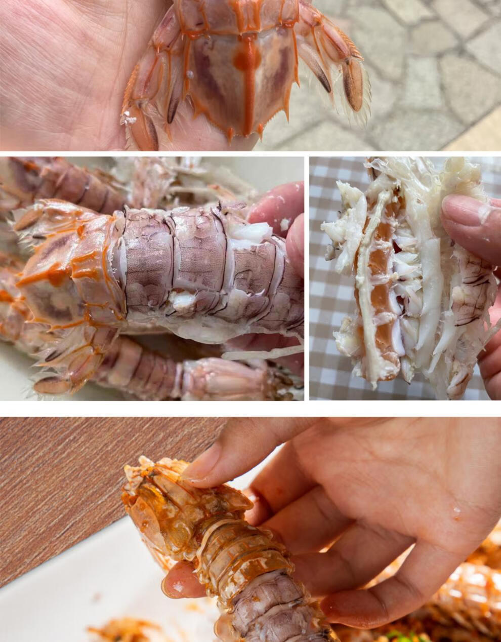 皮皮虾鲜活 超大熟冻虾爬子即食全母带膏肉特大北海濑尿虾爬爬虾富贵