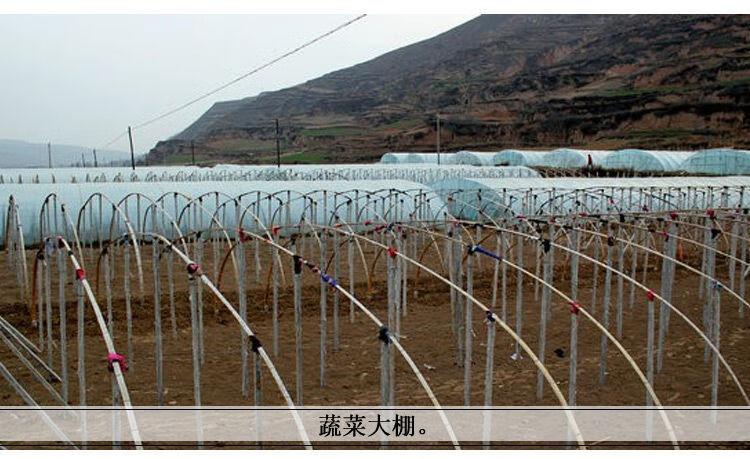 竹片竹条楠竹毛竹板温室龙骨大棚竹篱笆蔬菜架农用搭架竹栅栏竹子20片