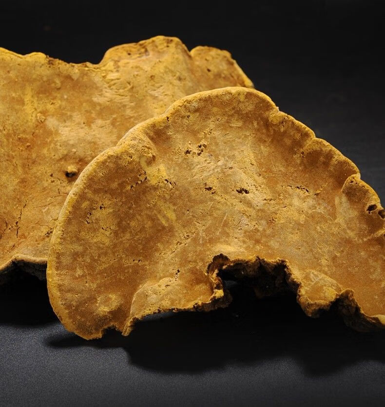 桑黄野生精选100g藏桑黄灵芝西藏自治区野生正宗桑树桑黄泡茶 官方