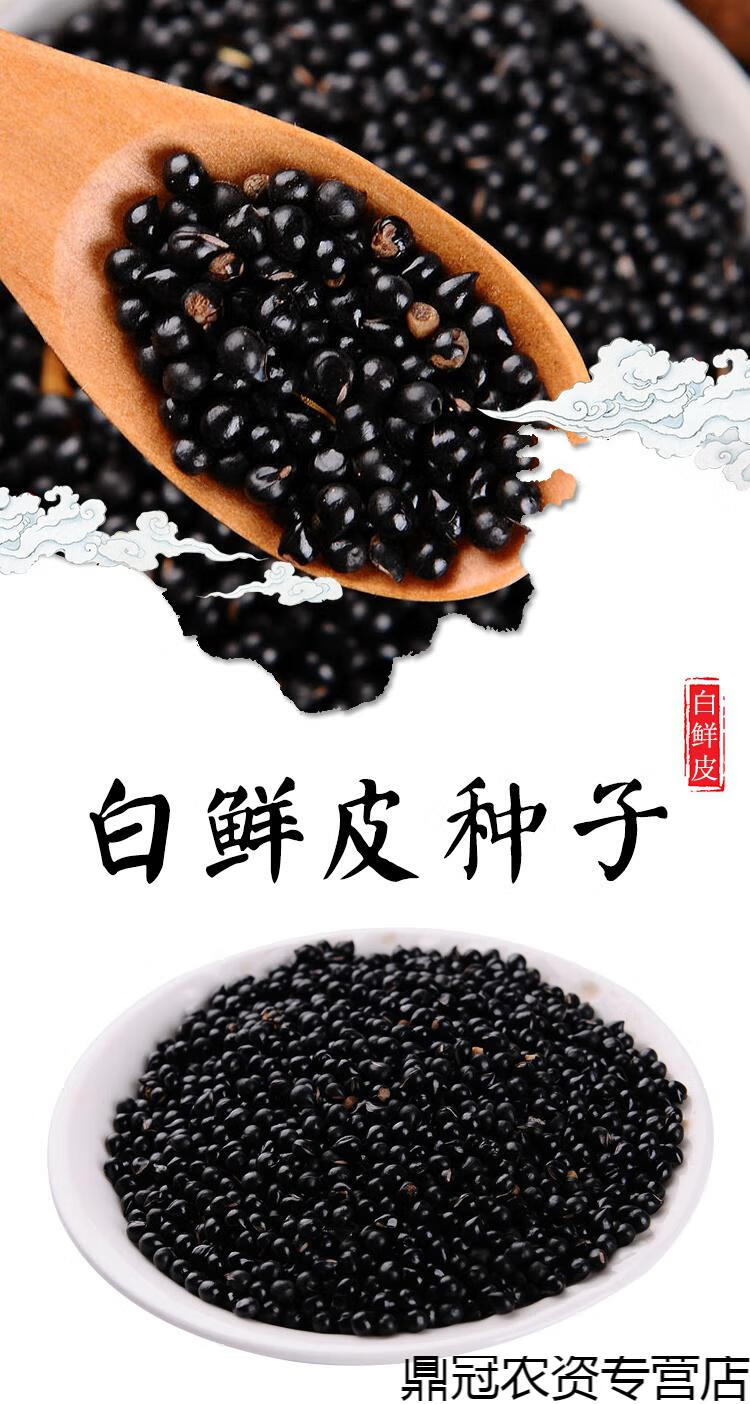 白鲜皮种子新采药材种籽春秋播种八股牛山牡丹羊鲜草中草药种子一斤