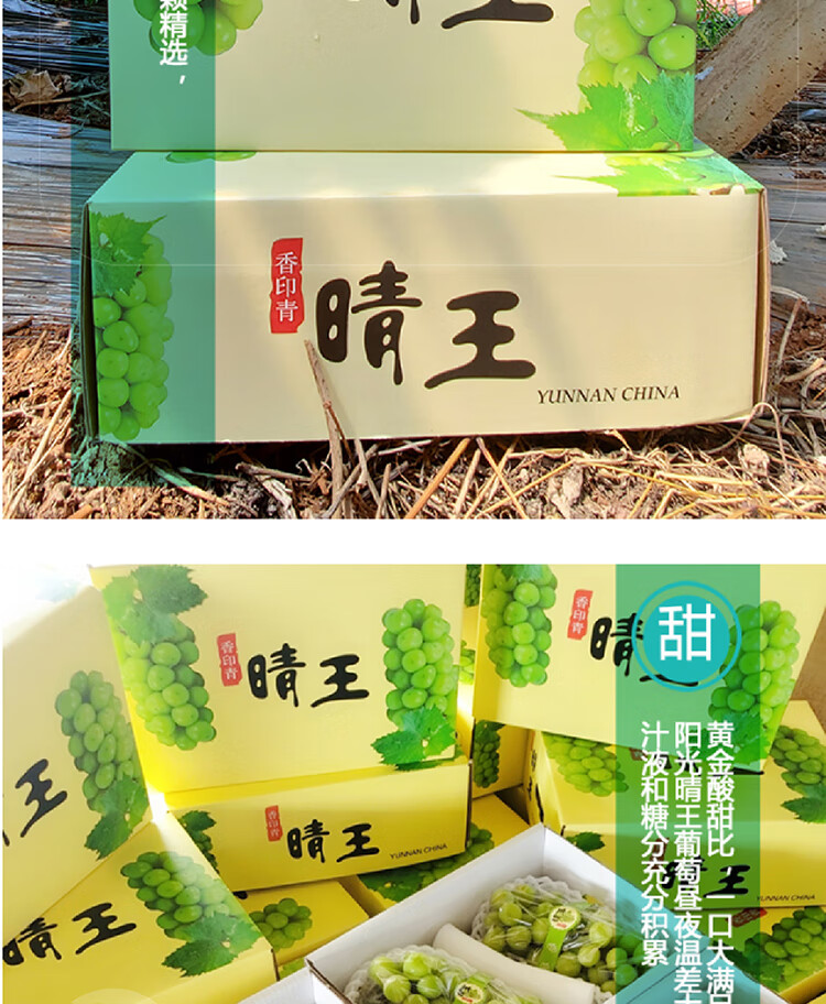 云南阳光玫瑰葡萄晴王香印青提特级果无籽3串净重4斤