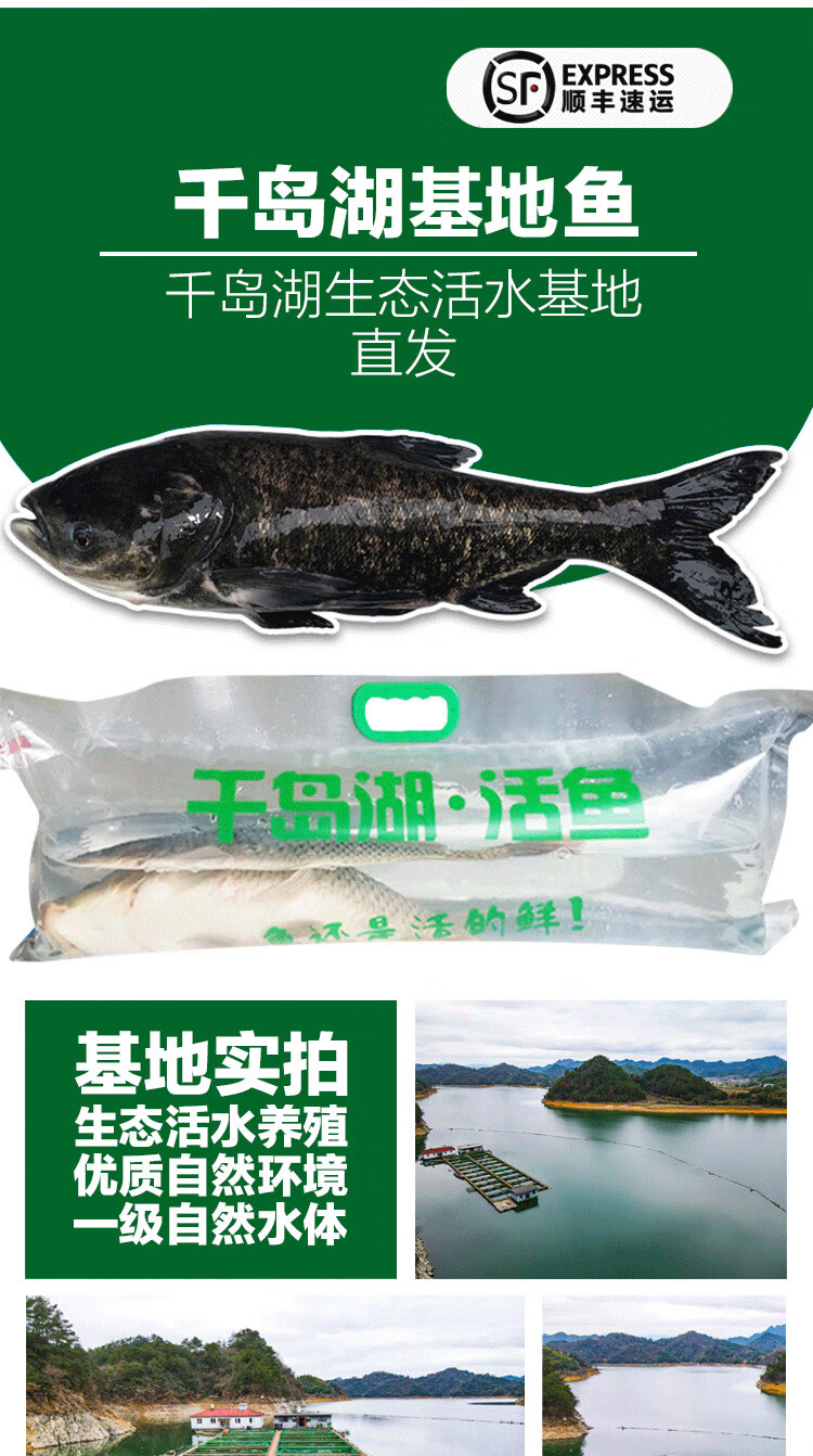 碧浔泽畔旗舰店正宗千岛湖活鱼胖头鱼乌鲢鱼鳙鱼生鲜鱼类年货送礼优选