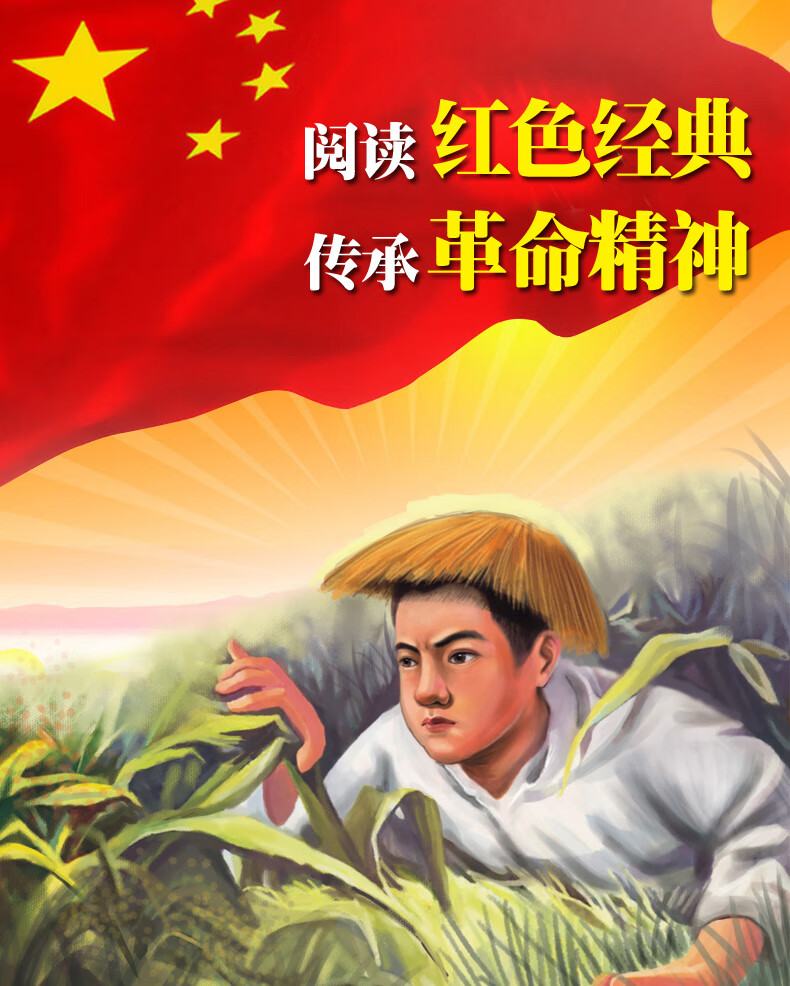 小兵张嘎书封面图片