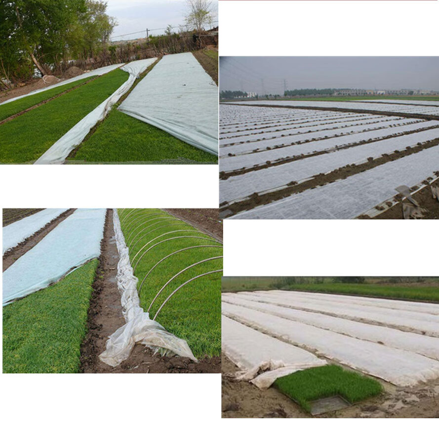 亿万仟 园林绿化无纺布绿色透气膜工地草坪防草防尘边坡护坡植草籽