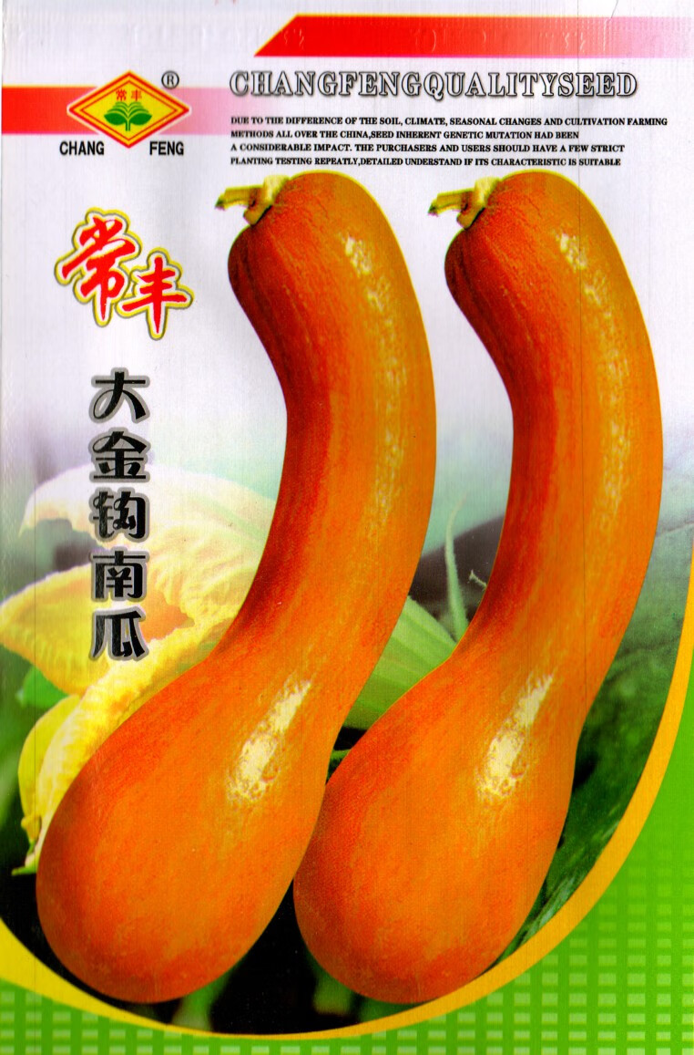 纳格兰大金钩南瓜种子 黄狼南瓜 家庭阳台种菜盆栽 密本南瓜易种蔬菜