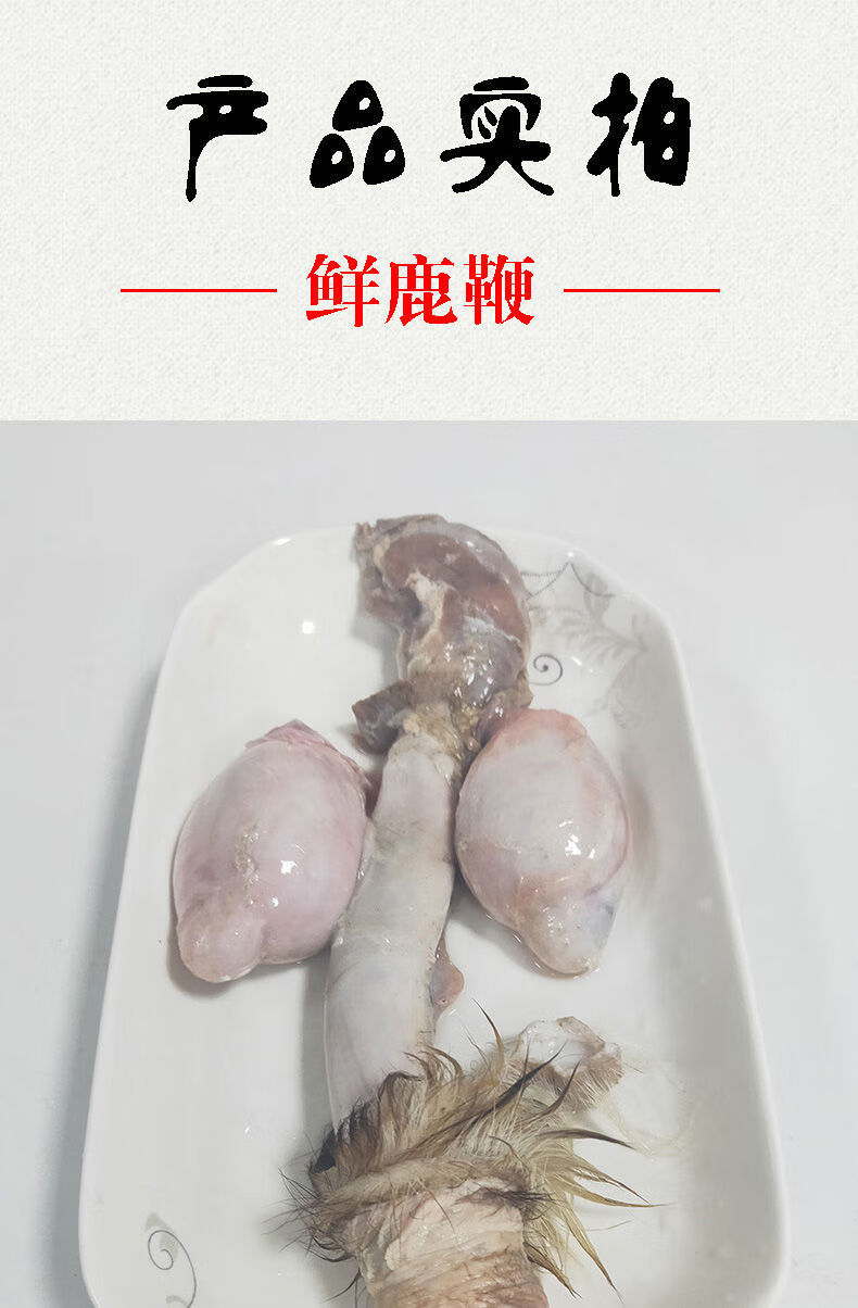 鹿鞭照片图片