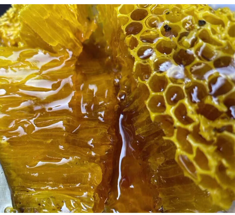 云南野生崖蜜岩蜜纯正食用蜂巢蜜喜马拉雅蜂土蜂蜜百花蜜 带巢崖蜜