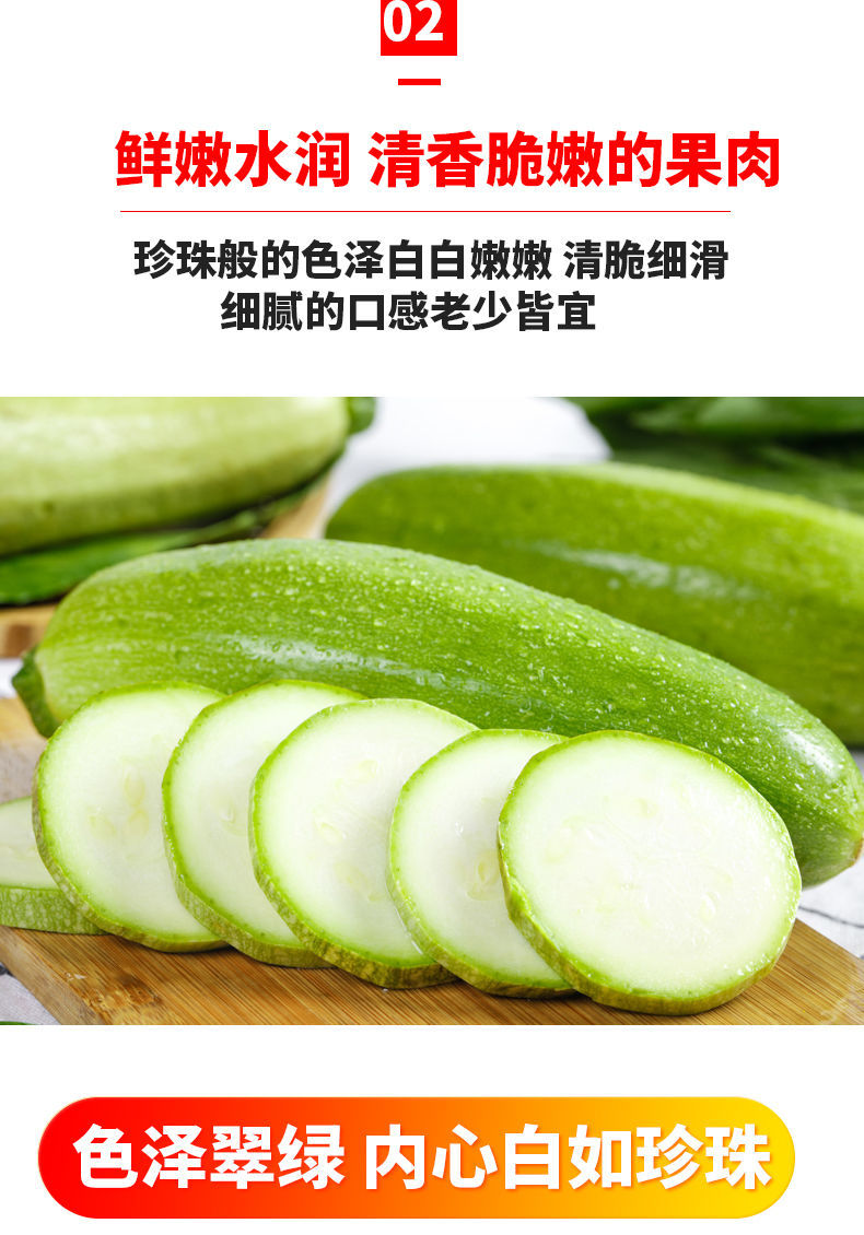 新鲜现摘西葫芦时令蔬菜茭瓜三月瓜倭角生瓜小瓜青菜河南农家自种精选