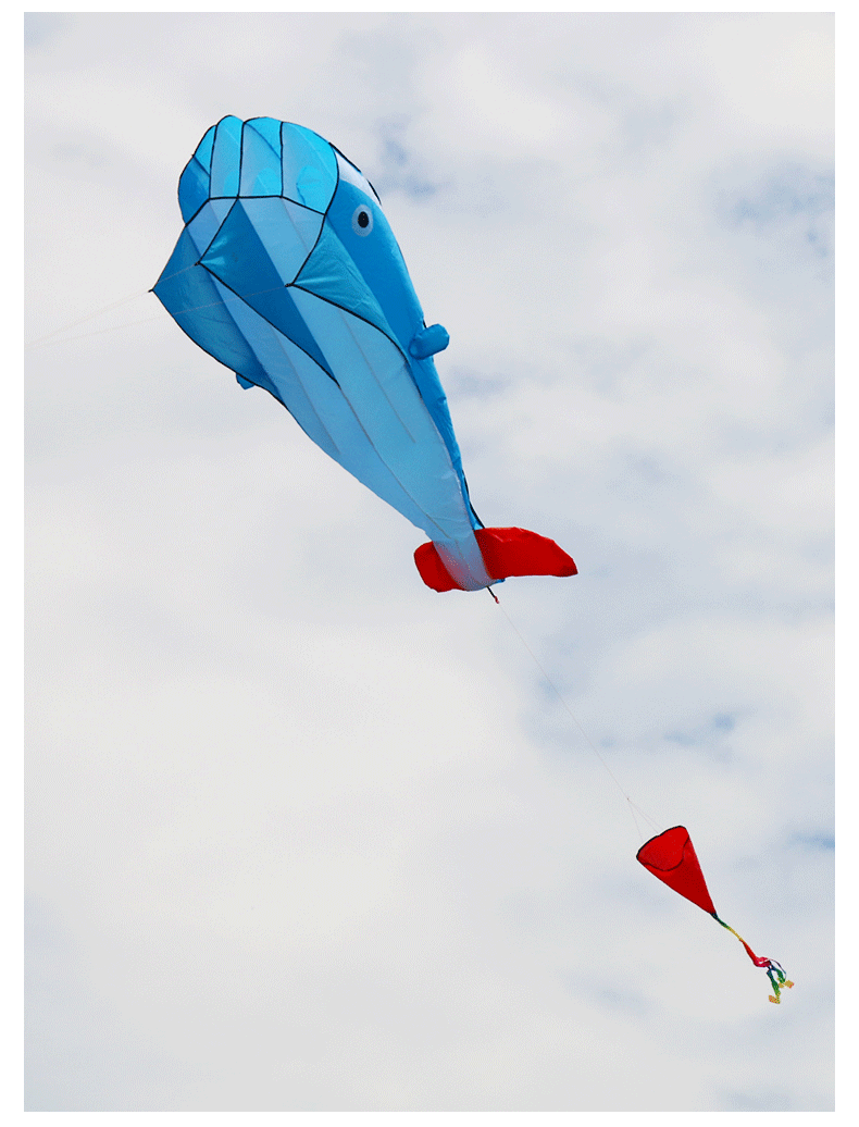 网红八爪鱼风筝软体风筝大型无骨海豚大人专用章鱼立体鲸鱼金鱼抗大风