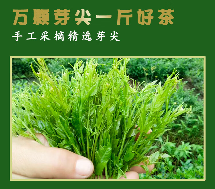 芽尖莓茶張家界特級野生龍鬚藤茶恩施土家黴茶湖南永順旗艦店200克2