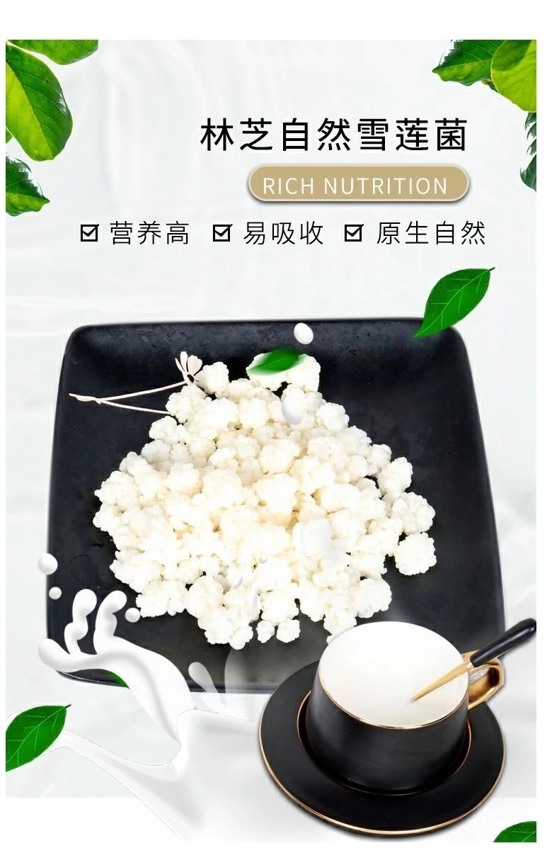 西藏雪莲菌 西藏雪莲菌种藏灵菇菌天山雪莲菌自制酸奶菌开菲尔菌 40颗