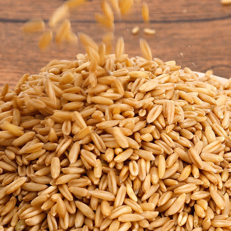 5斤东北燕麦米燕麦仁裸燕麦粒农家自产五谷杂粮胚芽米