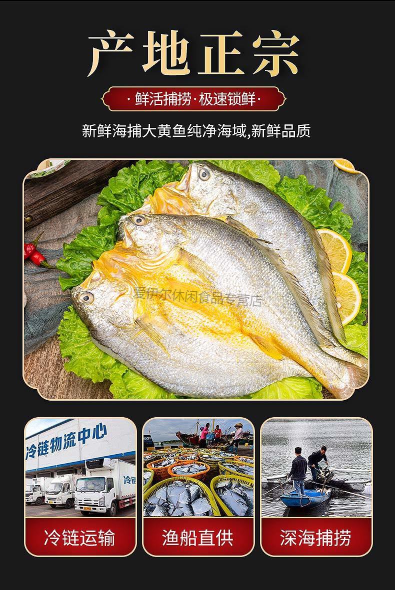 新鮮大黃魚黃花魚冷凍寧德黃瓜魚整箱生鮮活海魚已殺大黃魚已殺鮮活大