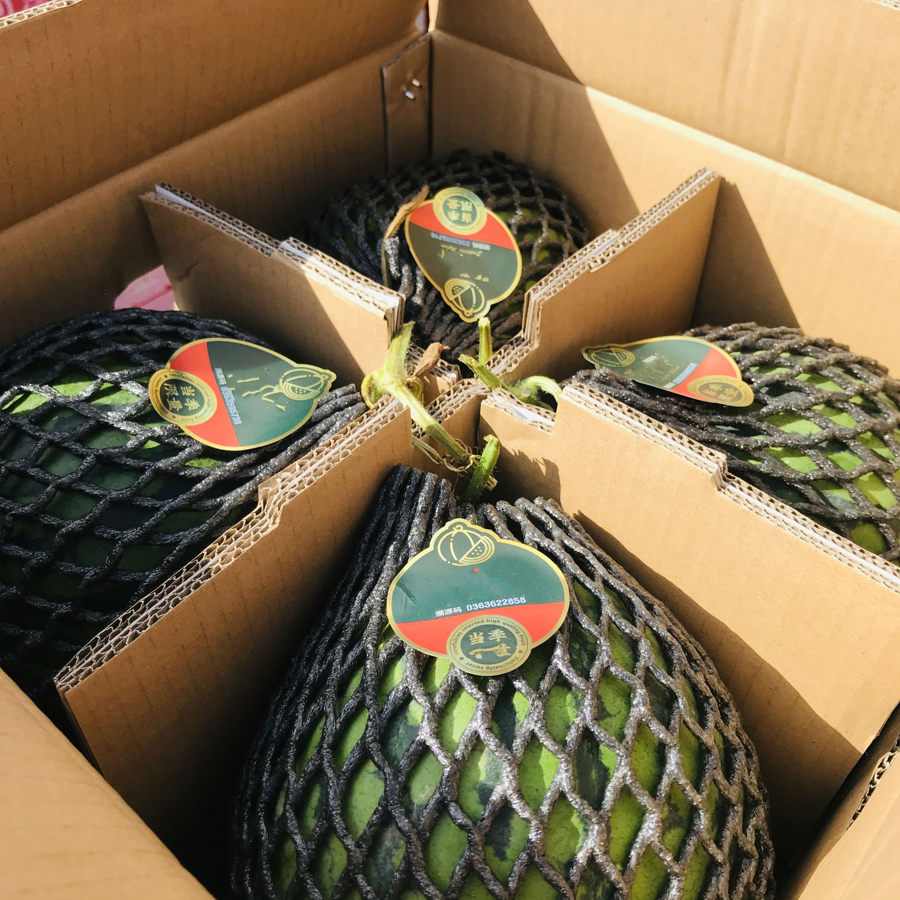 云南翡翠蒂西瓜现货速发新鲜当季水果当季薄皮非无籽单果约68斤2个装