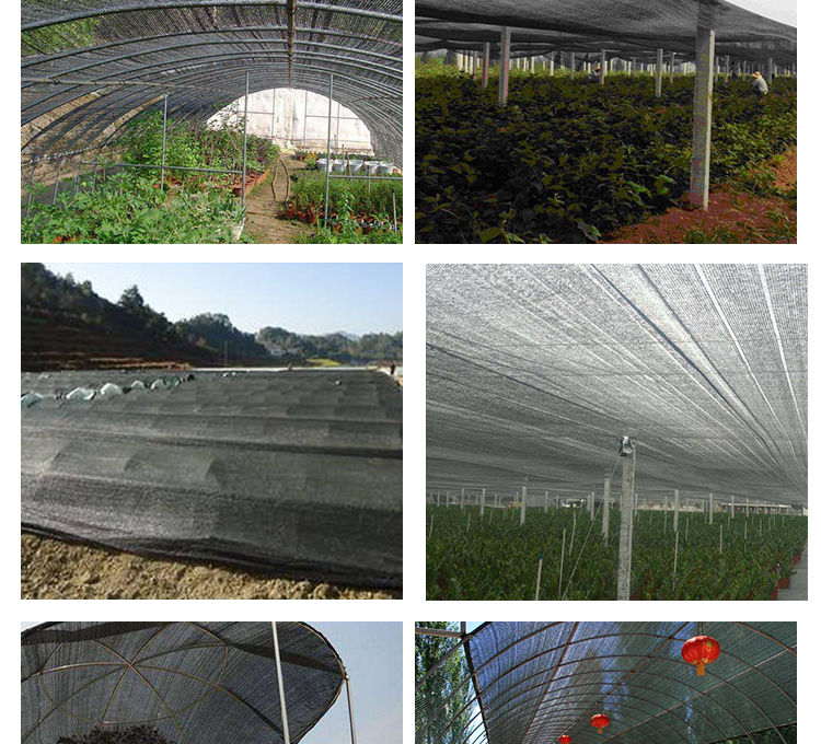 庶阳网布遮阳网黑色加厚加密防晒农用蔬菜大棚养殖遮阴网庭院遮阳网汐