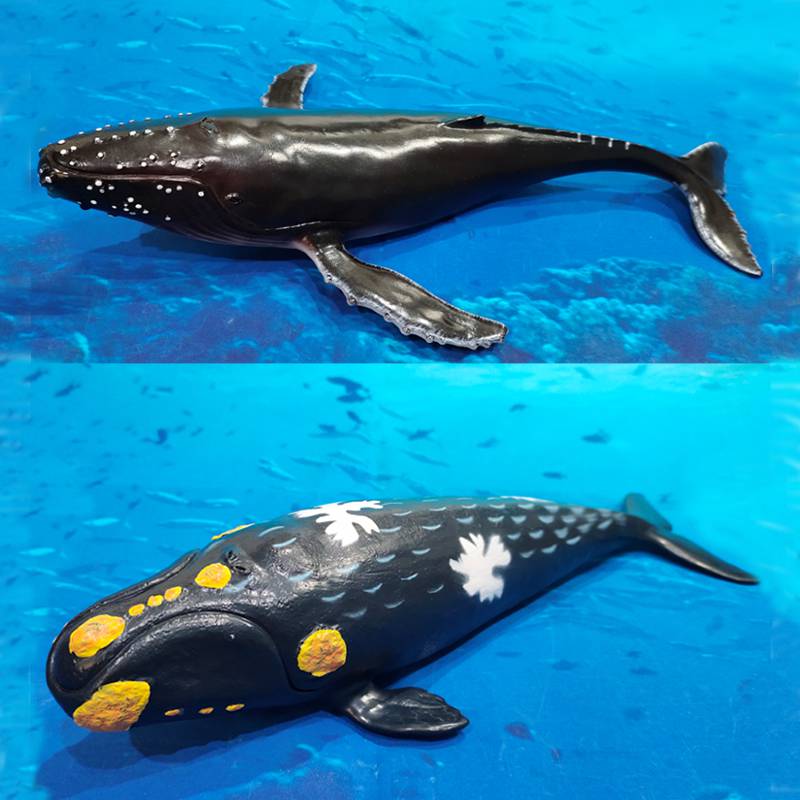 大王乌贼玩具仿真海洋生物海底大王乌贼模型鱿鱼玩具章鱼动物模型
