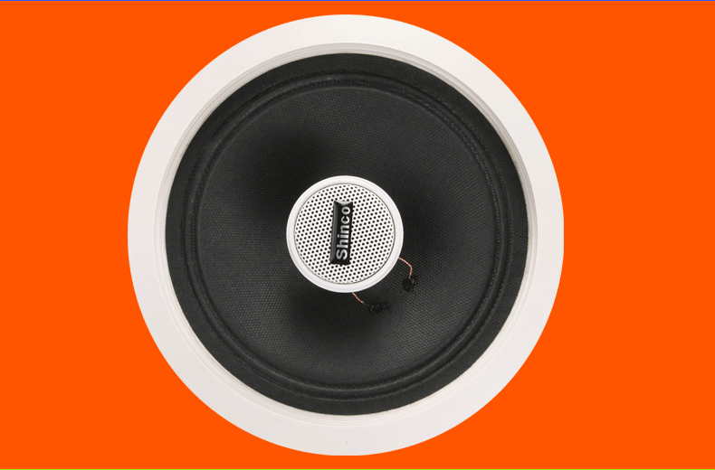 新科(shinco) 蓝牙吸顶喇叭 吊顶音响套装嵌入式同轴家庭音箱功放一体