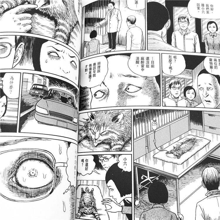 伊藤润二的猫日记 全 伊藤润二正版漫画作品集港台原版周边精选图书籍日本恐怖漫画家 摘要书评试读 京东图书