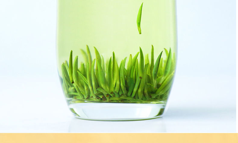 全芽尖明前雀舌茶叶嫩芽翠芽茶叶绿茶新茶叶罐装罐装125g一壶三杯