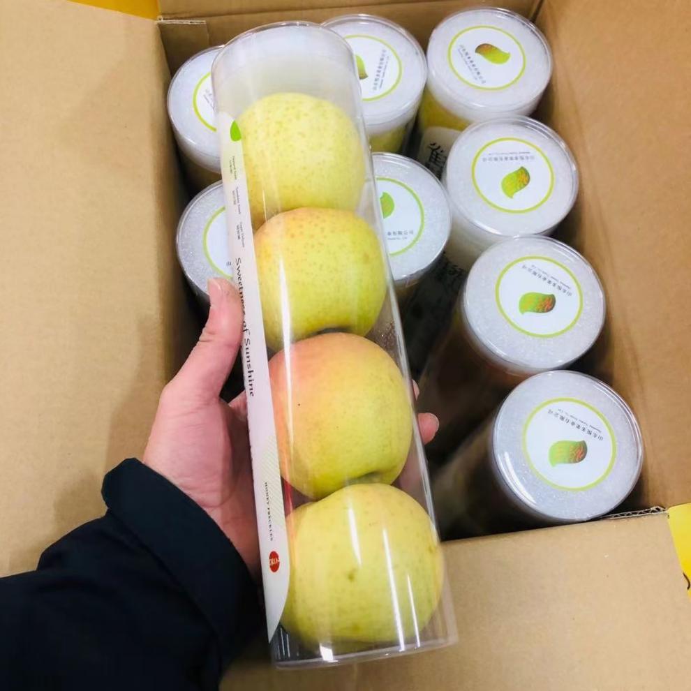 雀斑美人苹果 王林品种雀美人火箭筒试管小苹果一桶4个装600克 60mm