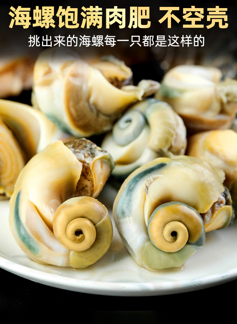 3斤活海螺鲜活新鲜超大海螺特大海鲜贝壳类生鲜特产野生香螺1500g3斤