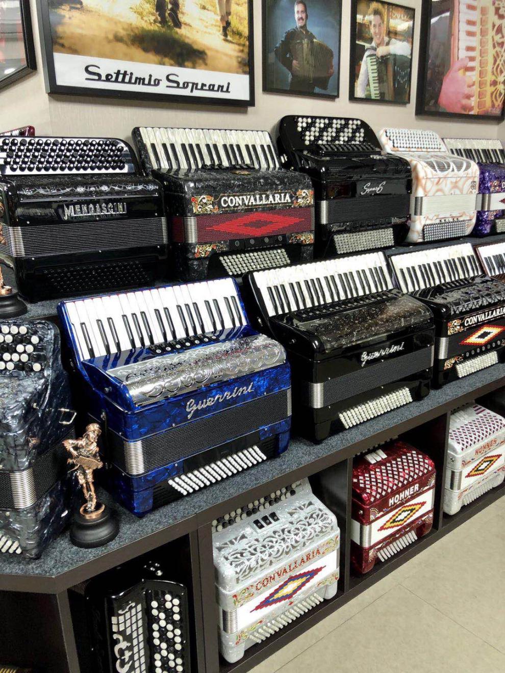 德国霍纳牌三排簧120贝斯手风琴 给爸妈好礼进口手风琴演奏定制款