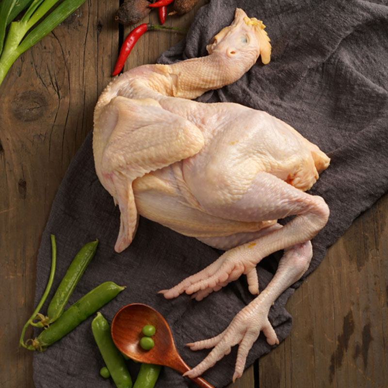 棠鲜生新鲜走地鸡活鸡现杀老母鸡肉每只2.5斤左右【图片 价格 品牌 报