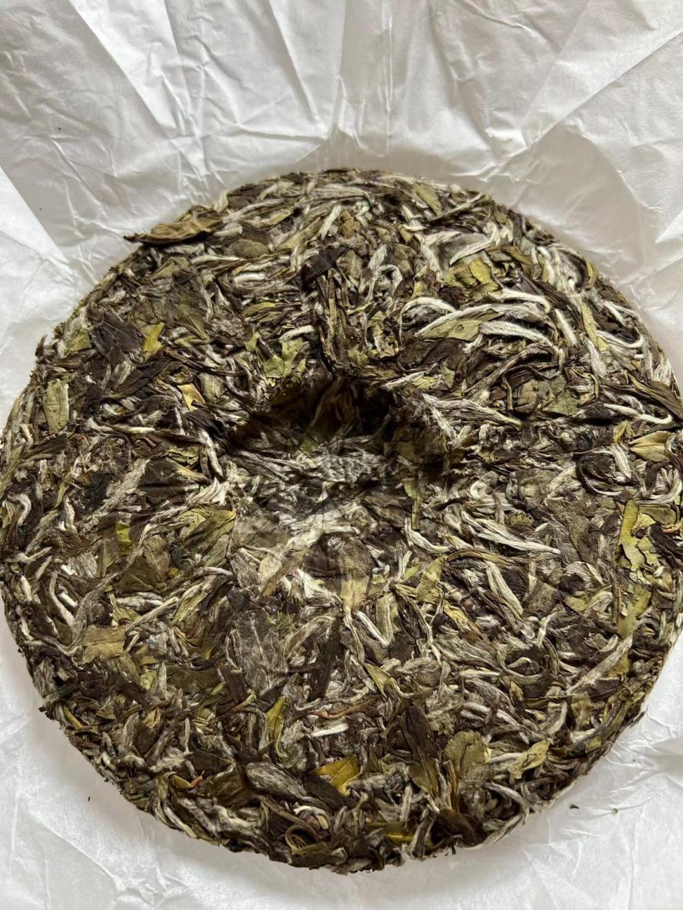 5折福建白茶牡丹王珍品白牡丹茶饼老白茶茶饼礼盒装