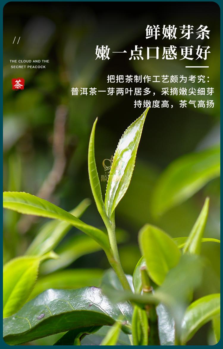 冰勐号云南普洱景谷云秘孔雀把把子茶七子饼普洱生茶饼整提生普洱叶