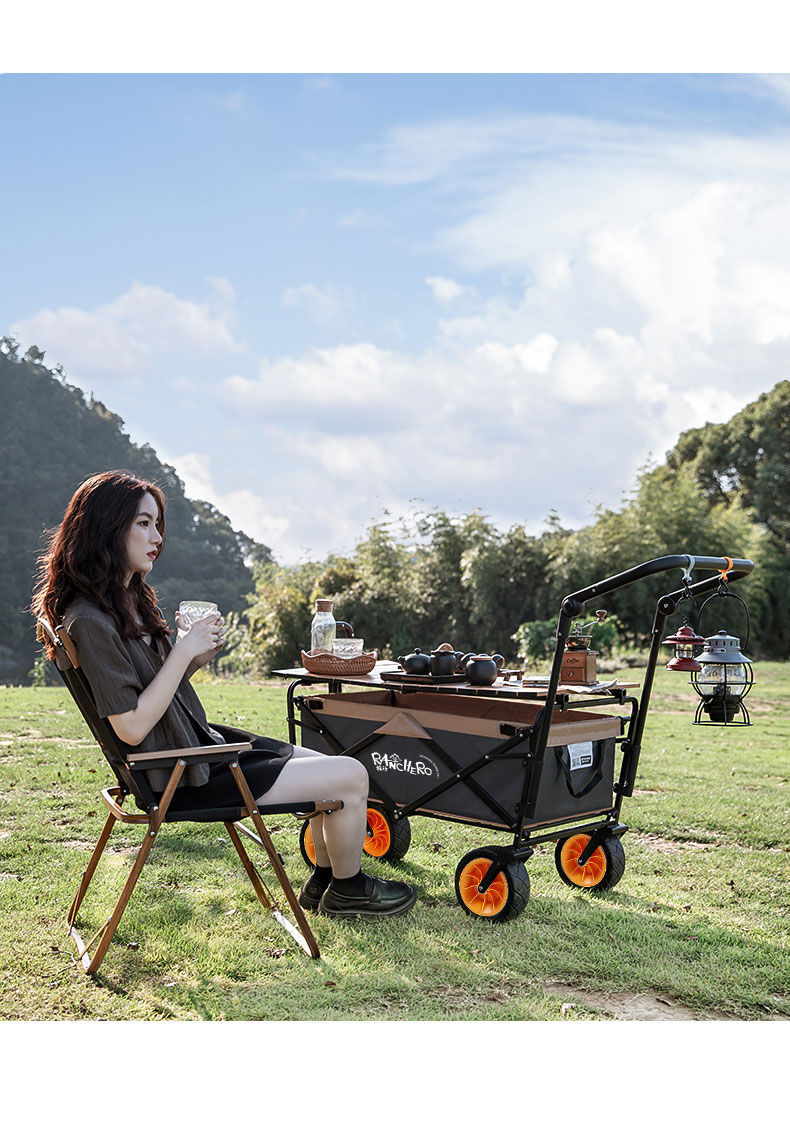 户外野营车超市购物拉杆小拉货手推购物车地推车折叠便携家用八寸轮