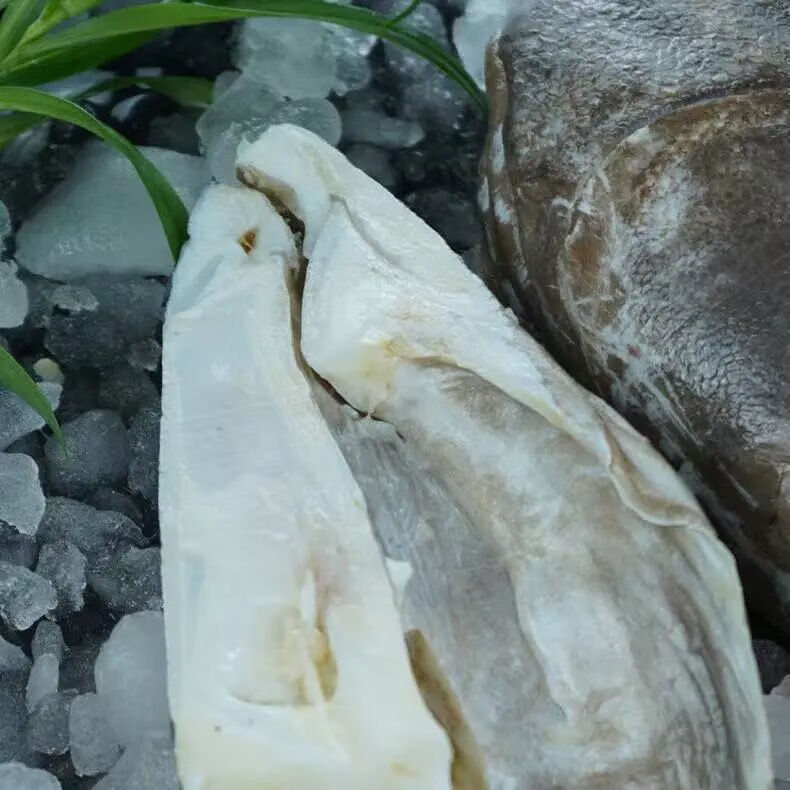 魃鲜 高品质银鳕鱼头犬牙鱼头深海鳕鱼肉雪鱼头剁椒鱼头 大号鱼头半只