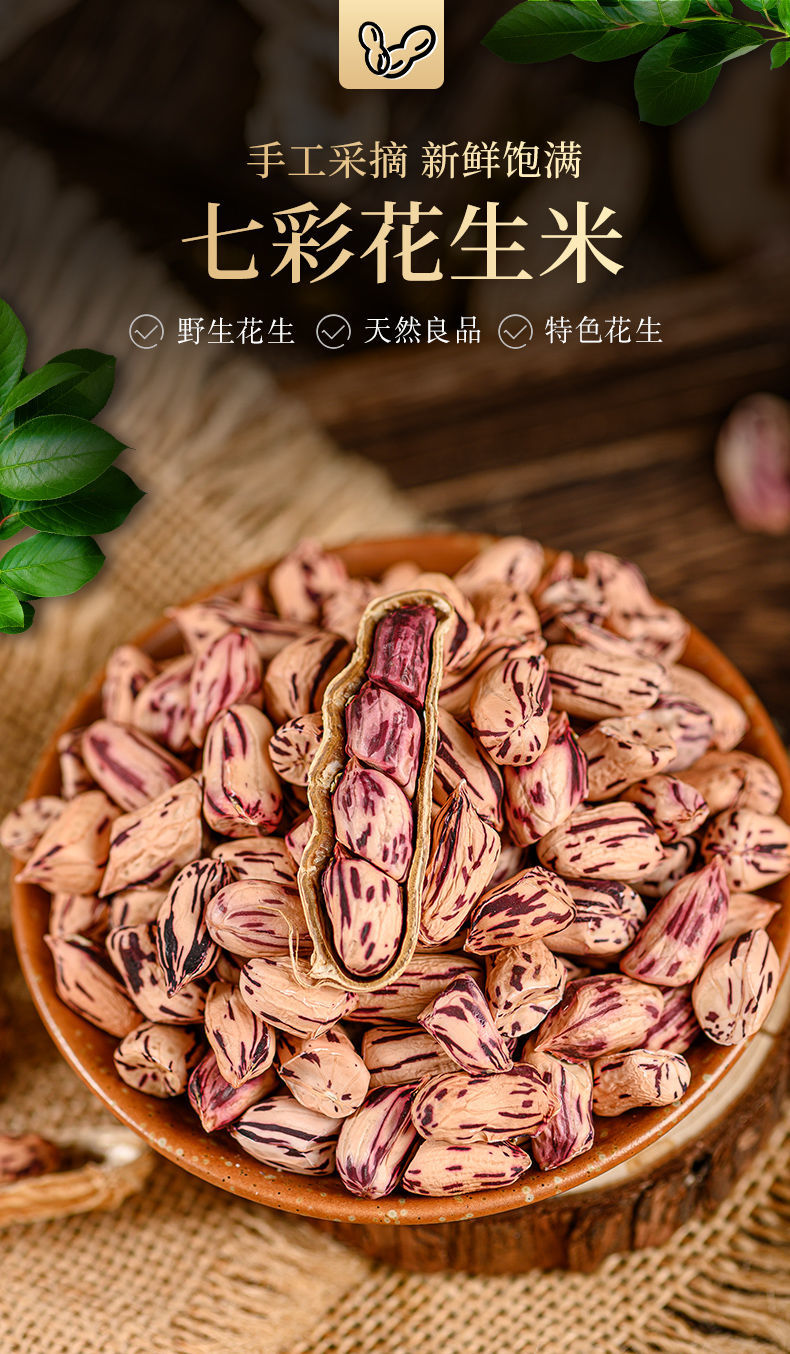 2020云南富硒黑花生新鲜带壳黑花生种子晒干去壳黑花生米生熟可选七彩