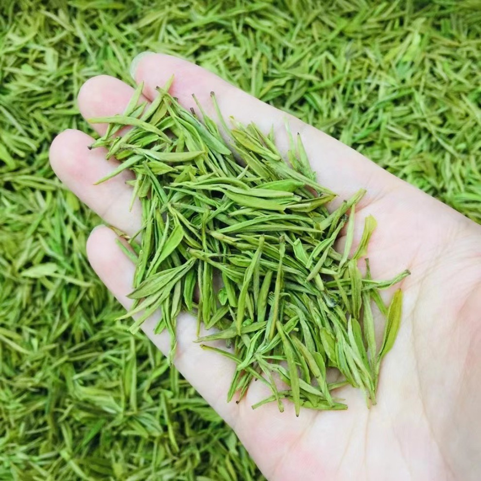 《现货》2021年新茶富硒白茶明前头采颗颗嫩芽毛峰250g顺丰