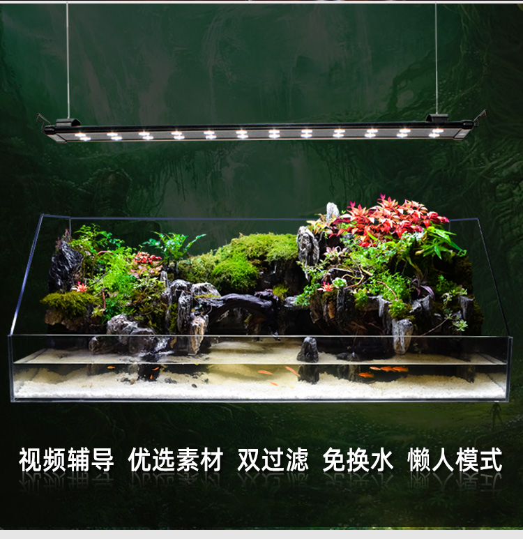 水陸缸造景套餐材料超白植物骨架板大型新手裝飾成品石頭草缸雨林 120