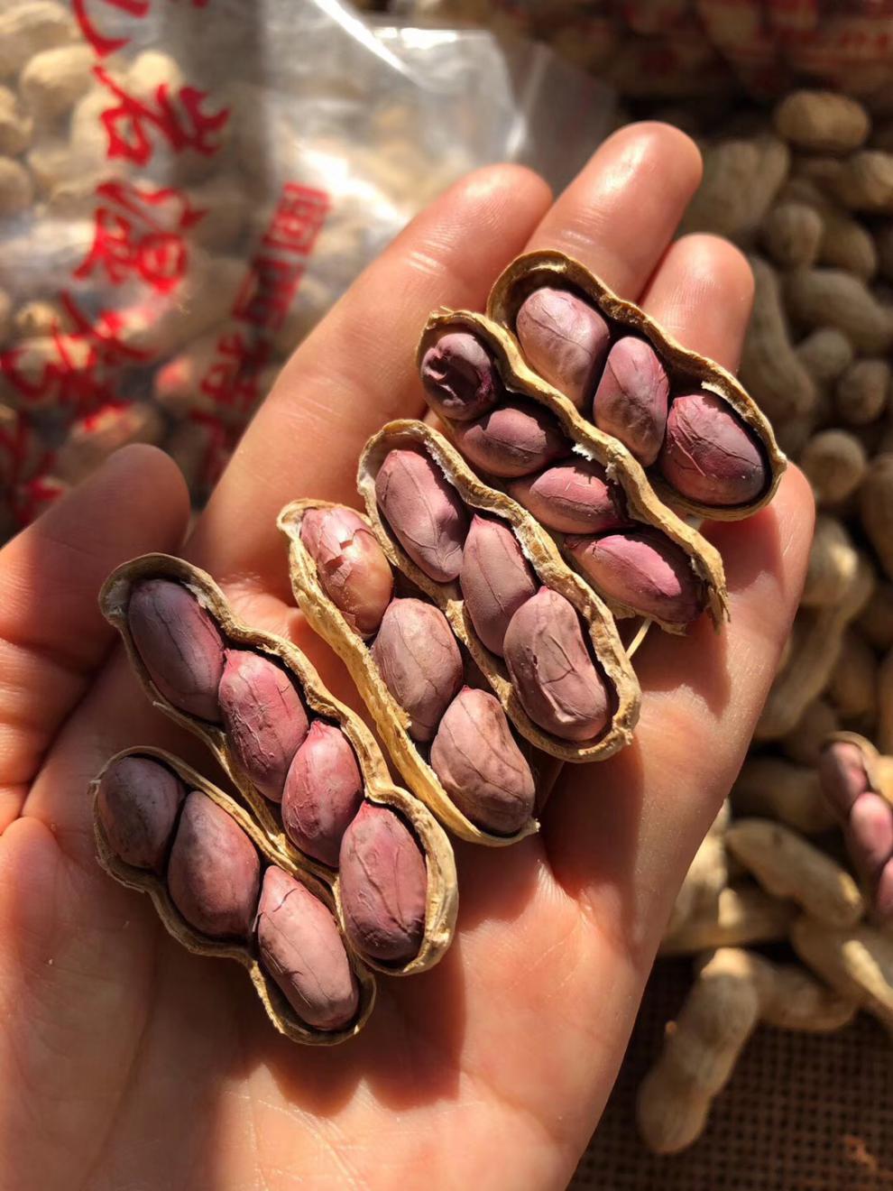 龙岩湿烤紫衣花生福建闽西特产2021年多籽五香硬脆3斤5斤 紫衣湿烤
