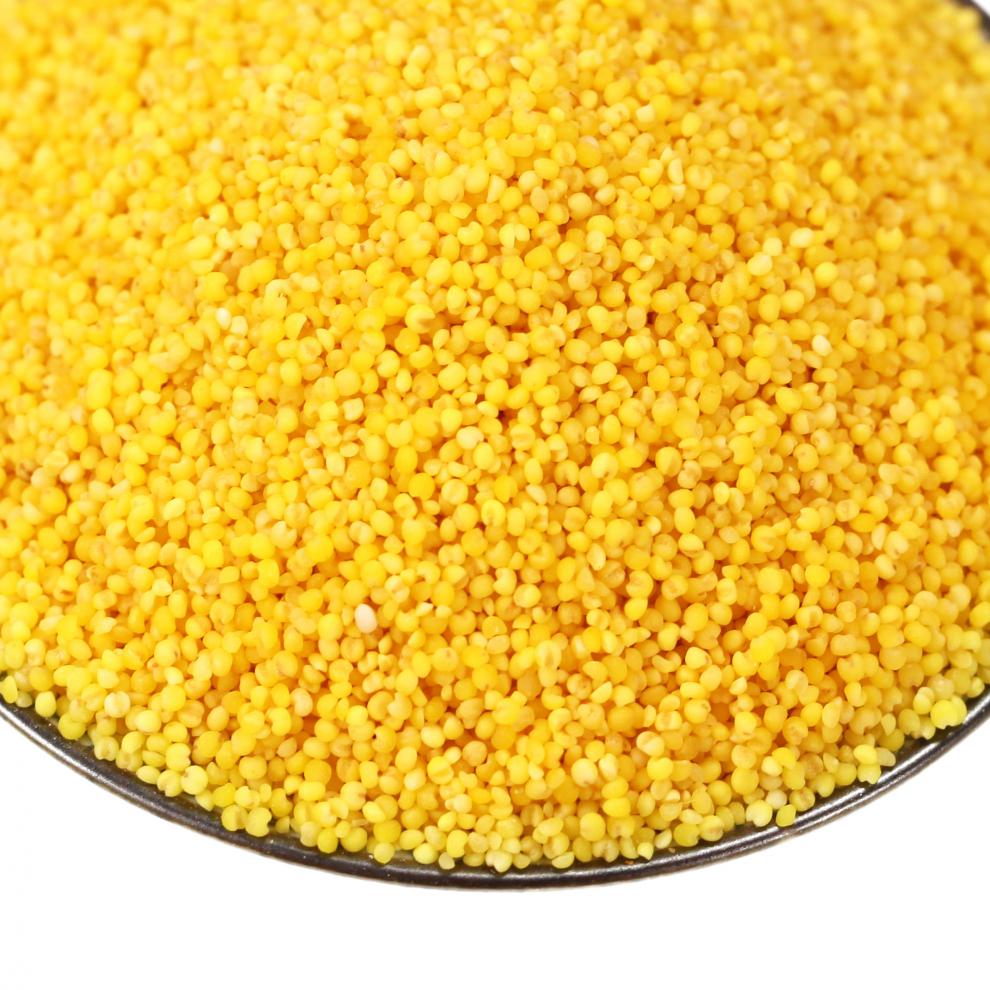 月子贡黄小米5斤 食用黏稠粘糯小米黍子米黄小米米粥农家五谷杂粮