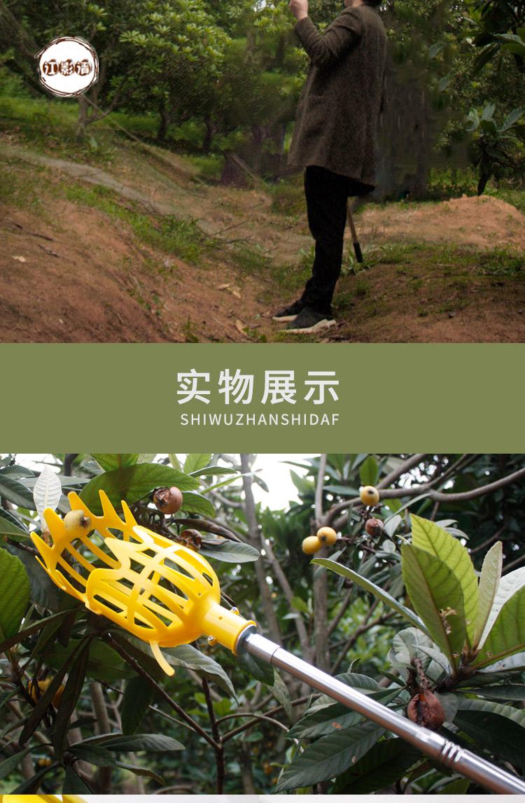 江影清高空采摘器 可伸缩3米杆摘果器摘杨梅神器采枇杷樱桃李子水果