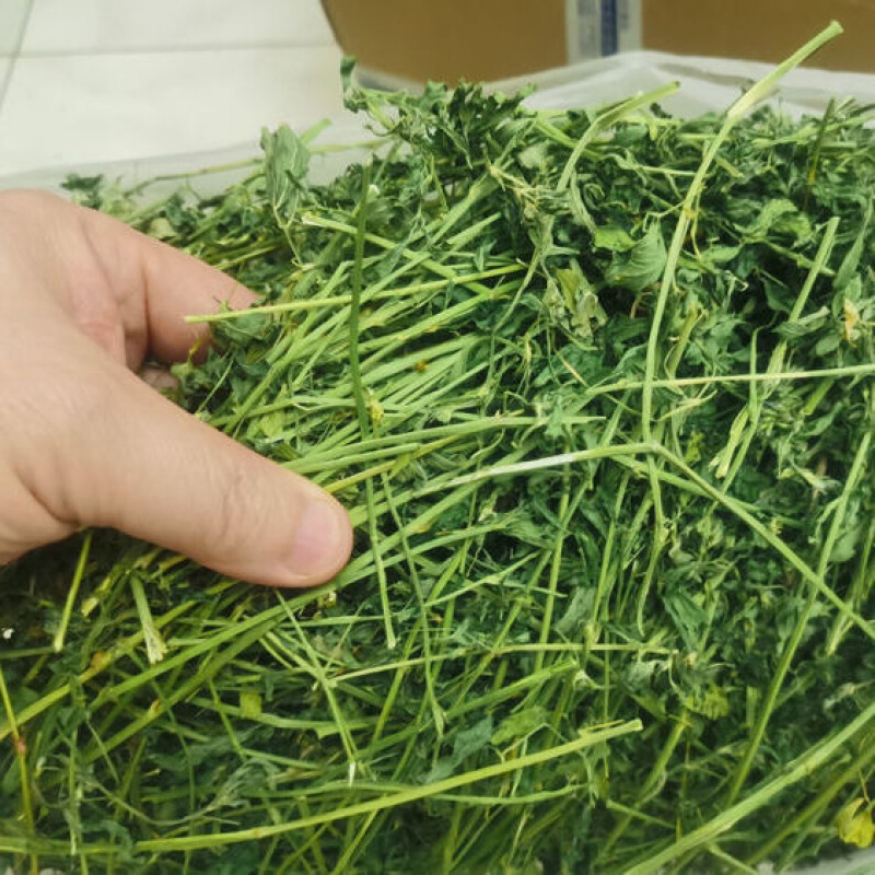 紫花苜蓿草苜宿草干草兔子吃的草料绿色烘干兔粮龙猫荷兰猪饲料 2箱