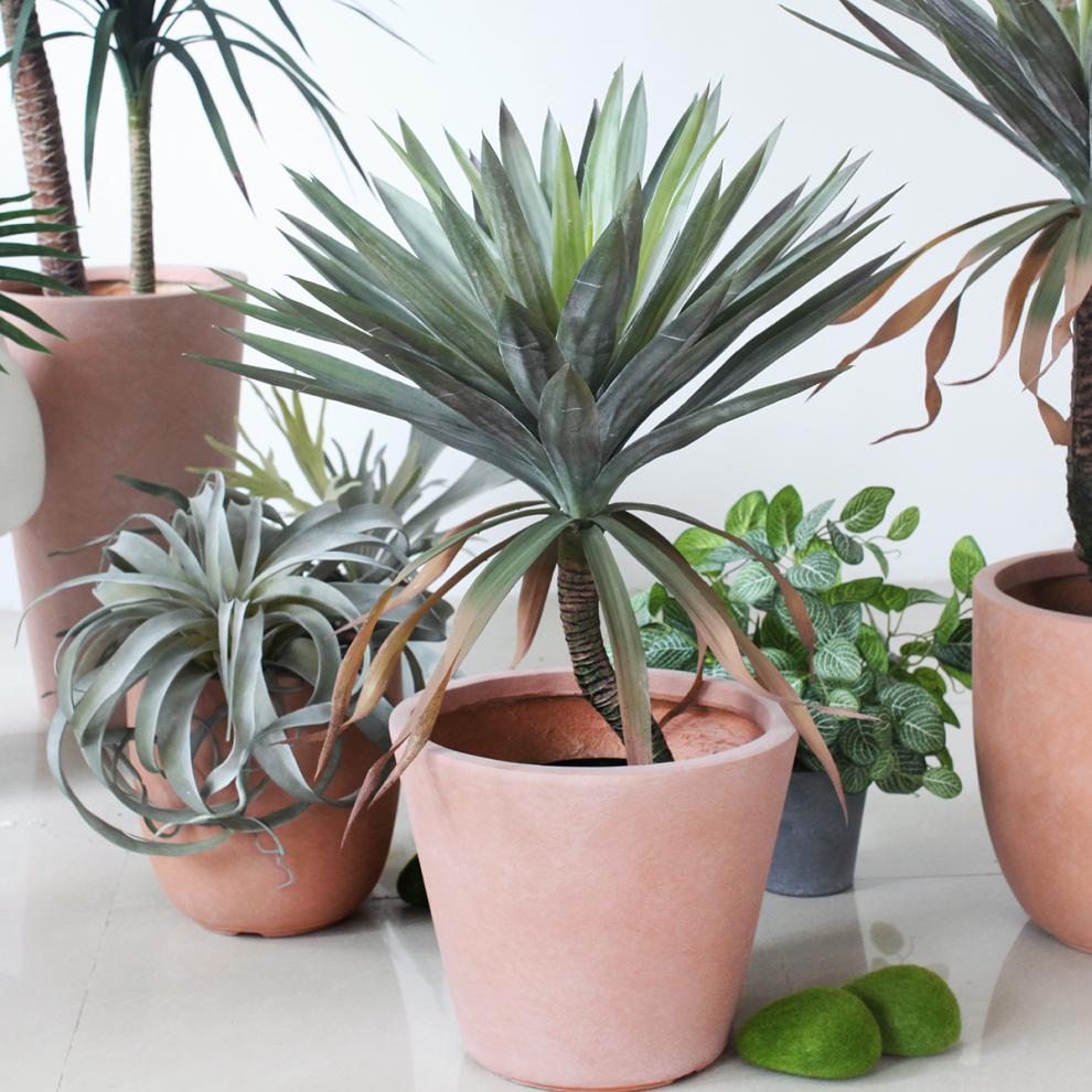 仿真植物美洲龙舌兰沙漠绿植 室内大型植物办公室酒店摆设 美洲龙舌兰