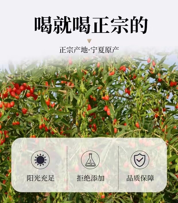 0ea37aed826f60af.jpg