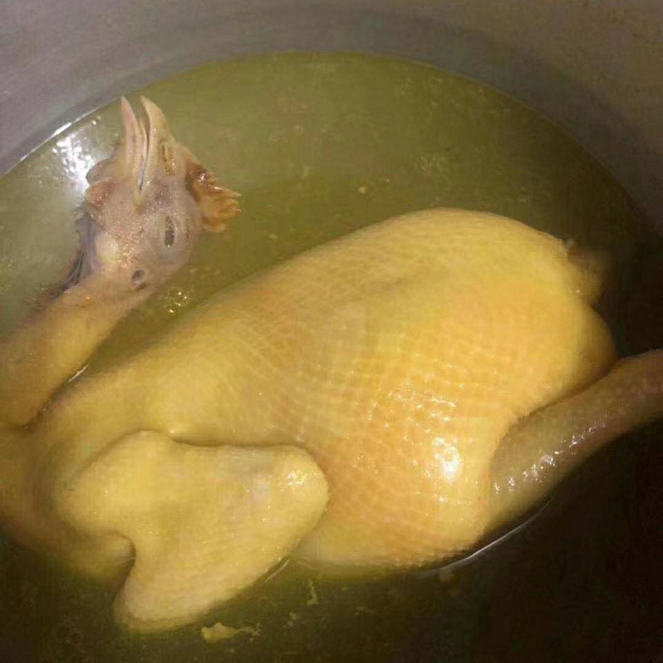 速运湛江鸡散养阉鸡靓鸡项走地鸡下单现杀广东省外空运冷链湛江本地扇