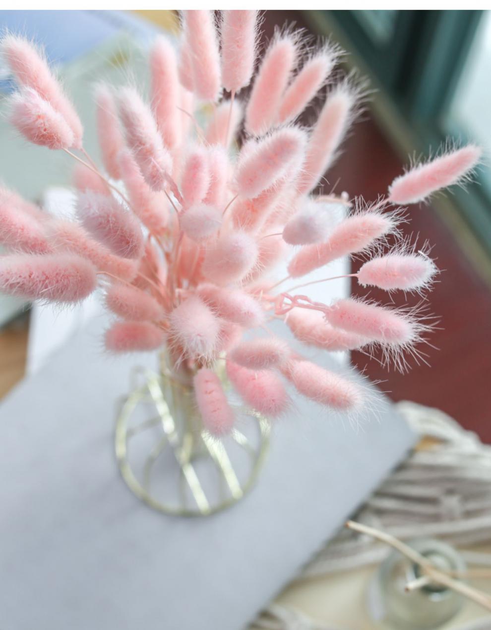 粉色兔尾草满天星干花真花风干天然客厅摆设树枝ins家居植物花卉 永生