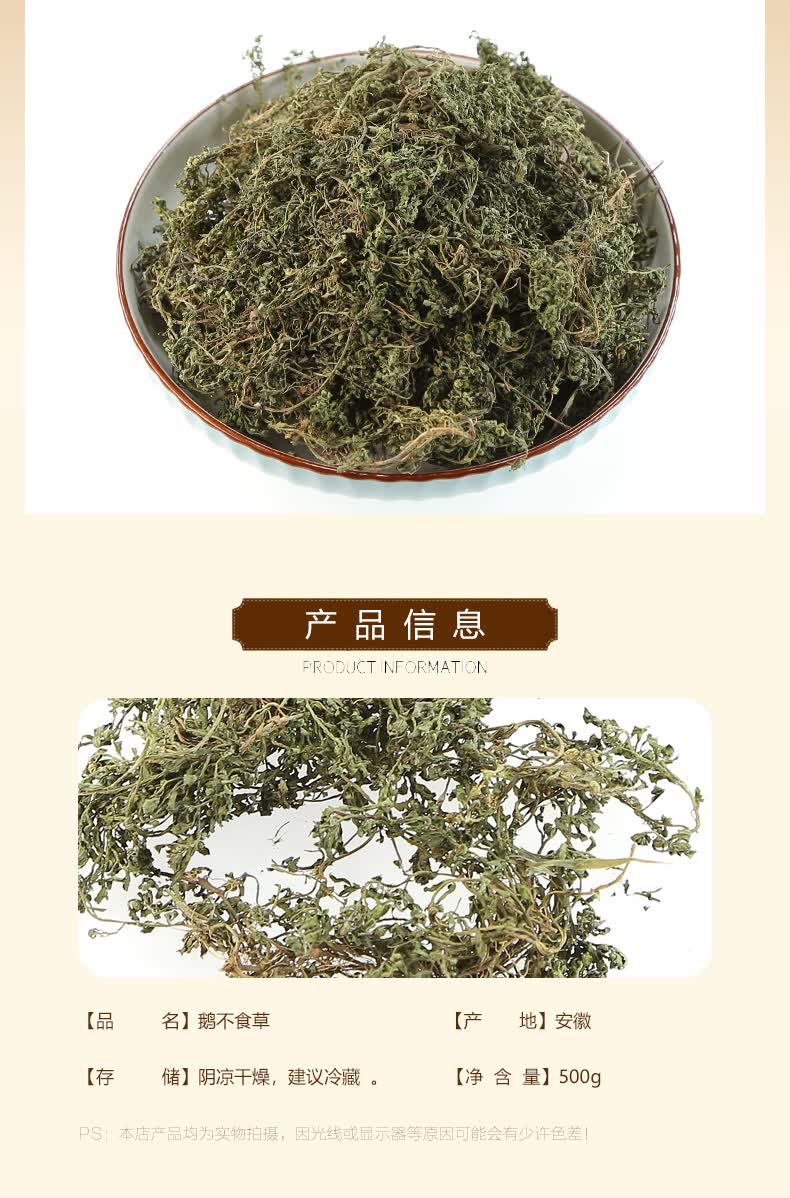 鹅不食草中药材500g克新鲜干鹅不食草鹅不食草粉饿不食草