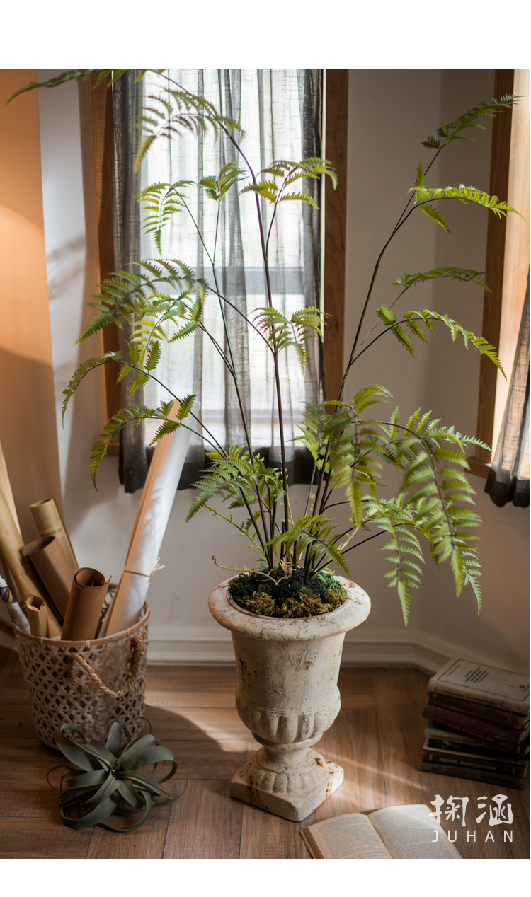 掬涵凤尾蕨苔泥团盆景仿真蕨草蕨树装饰绿植摆件造景陈列绳纹罐大高2