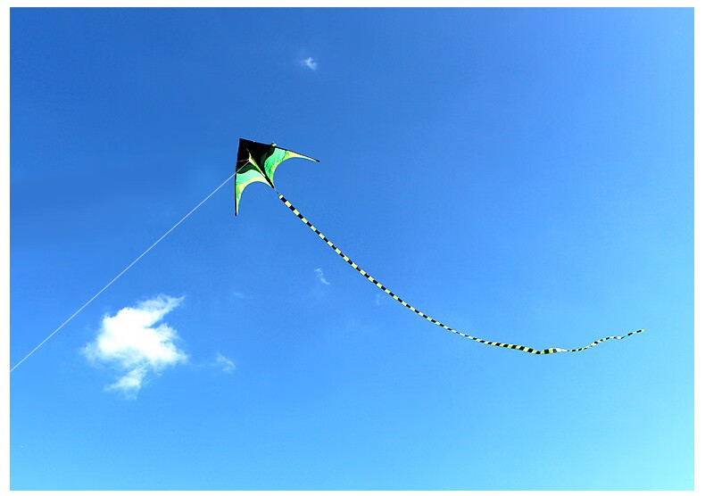 草原风筝儿童成人超大微风易飞初学者新手新款风筝送线轮16米大草原裸