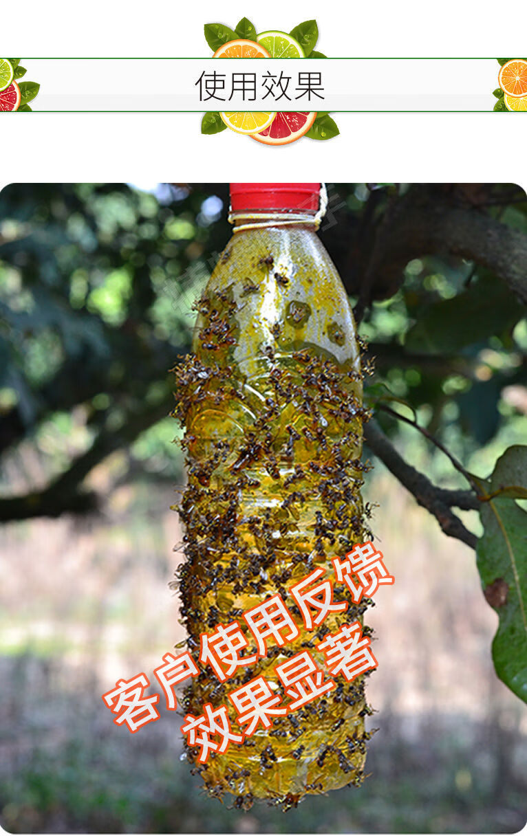 瓜果实蝇诱粘剂 针蜂果蝇杀虫剂 柑橘实蝇引诱剂捕蝇快手灭果蝇药
