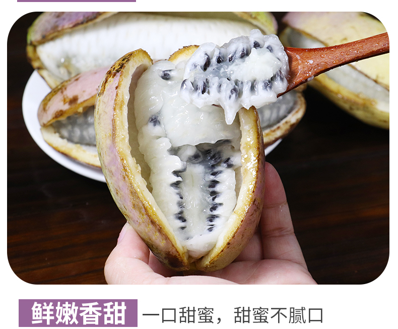 野生八月瓜新鲜当季水果不常见的稀罕贵州8月瓜八月炸5斤装 5斤 小果