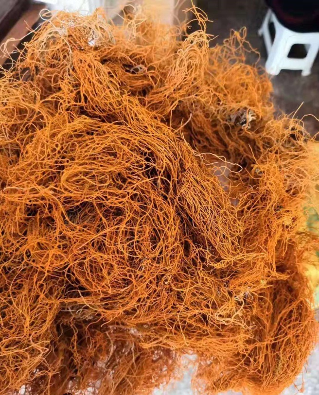 金丝红雪茶西藏野生特级红特产鹿心血茶500g精选无杂质【图片 价格