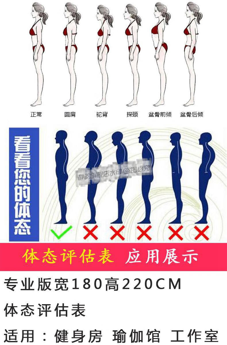体态评估网格图体态评估表墙贴健身房体测网格纸瑜伽馆私教姿势体位